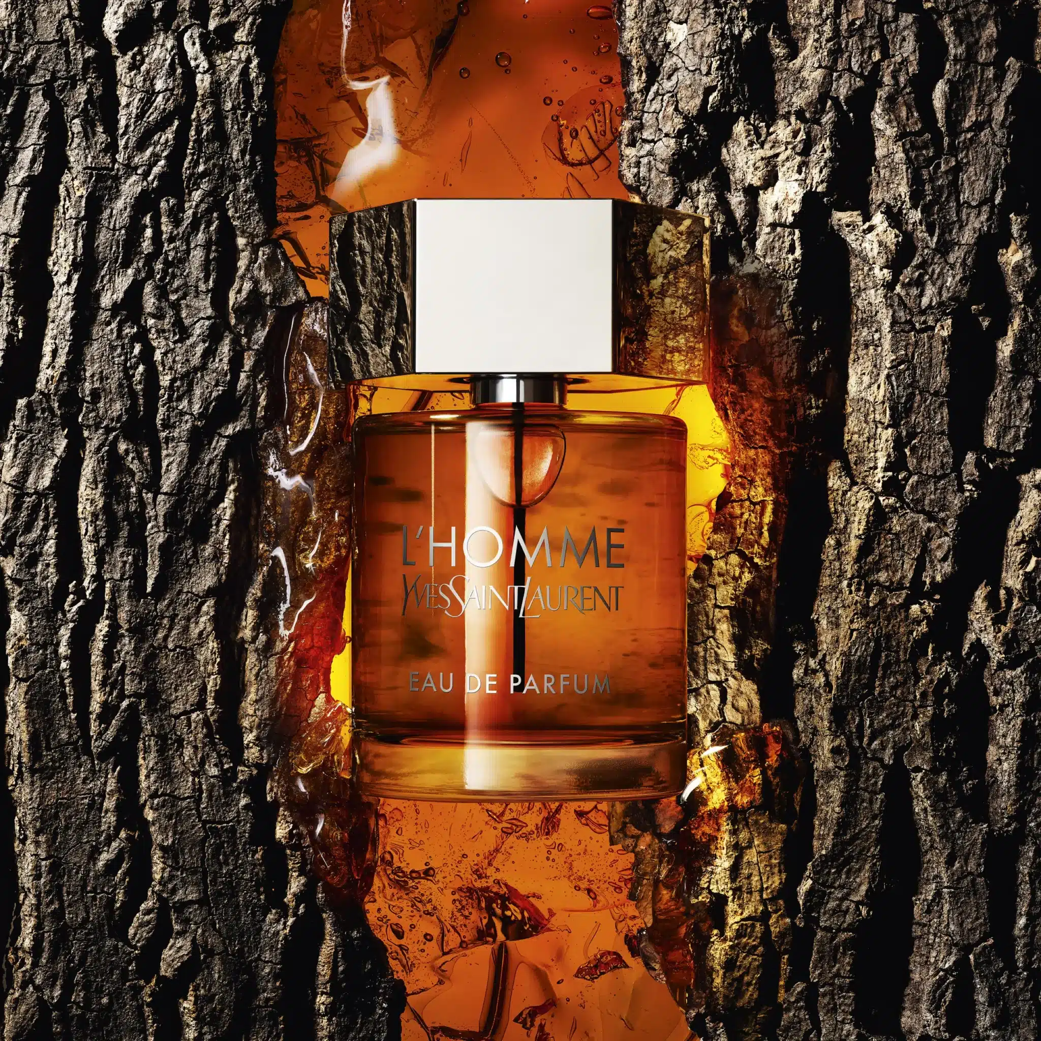 عطر ایو سن لورن لهوم ادوپرفیوم | Yves Saint Laurent L’Homme Eau de Parfum