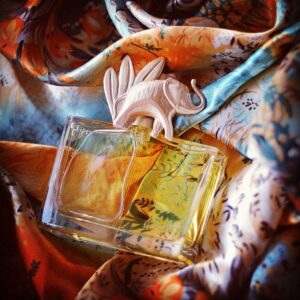 ادکلن کنزو جانگل زنانه | Kenzo Jungle for Women
